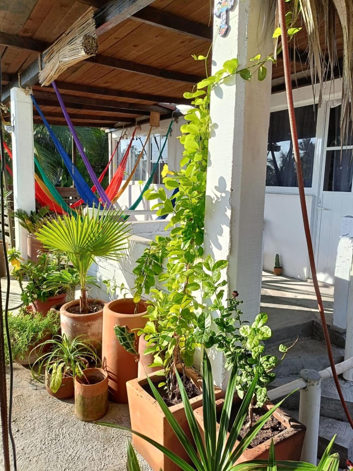 La Maxima & Lgbt Hotel Zipolite Buitenkant foto